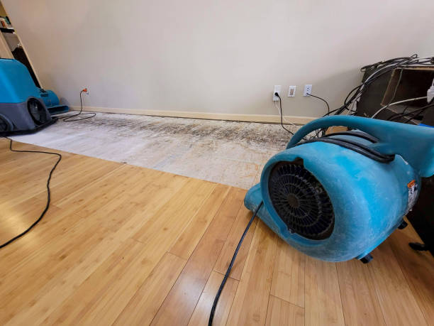 Professional Flood Damage Cleanup technician working in Ranger, TX